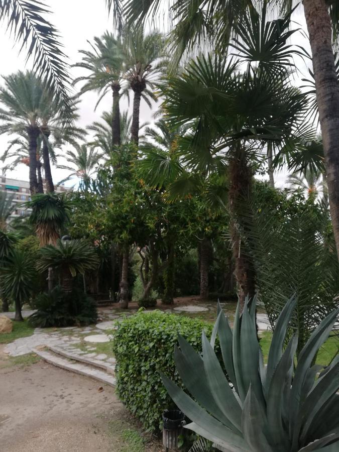 אוריהואלה Penthouse Op Toplocatie מראה חיצוני תמונה